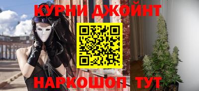 индика Будённовск