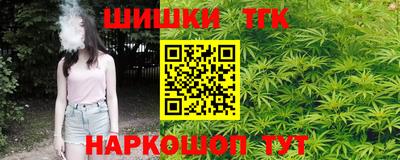 индика Будённовск